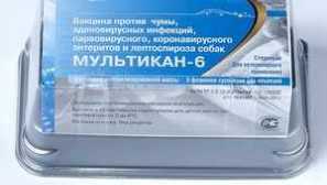 Multikan 6: інструкції з використання препарату для собак